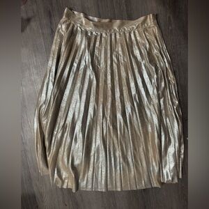 Zara Metallic Pleated Skirt